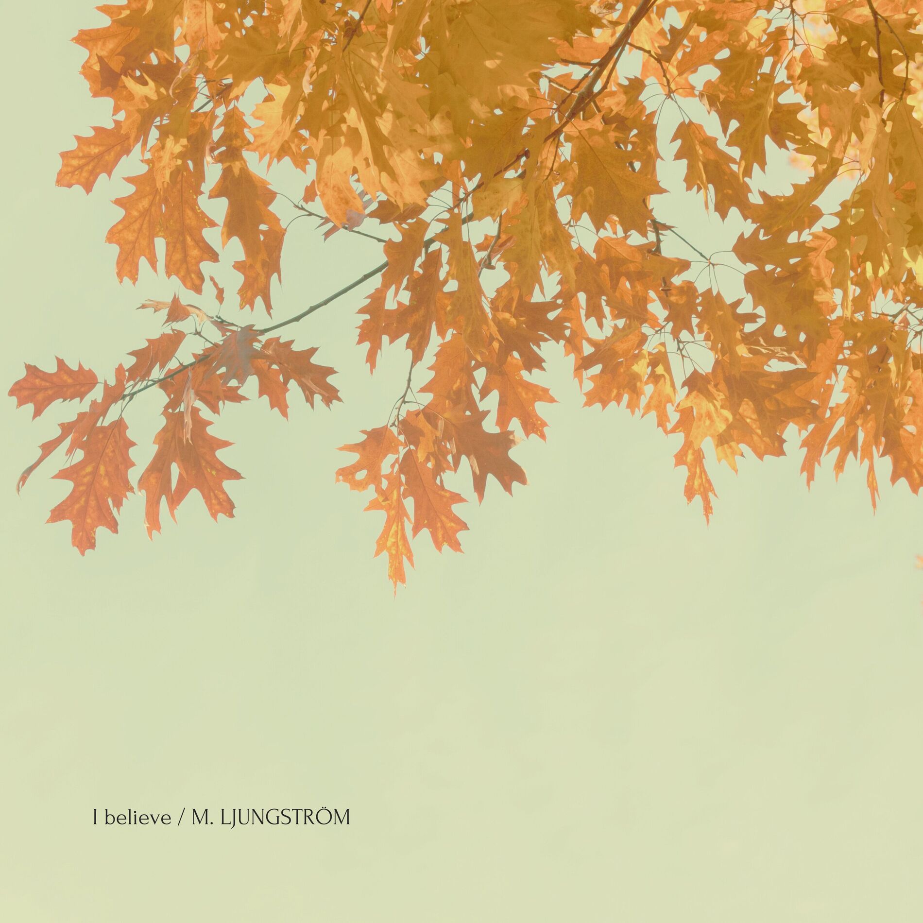 Album cover of I Believe