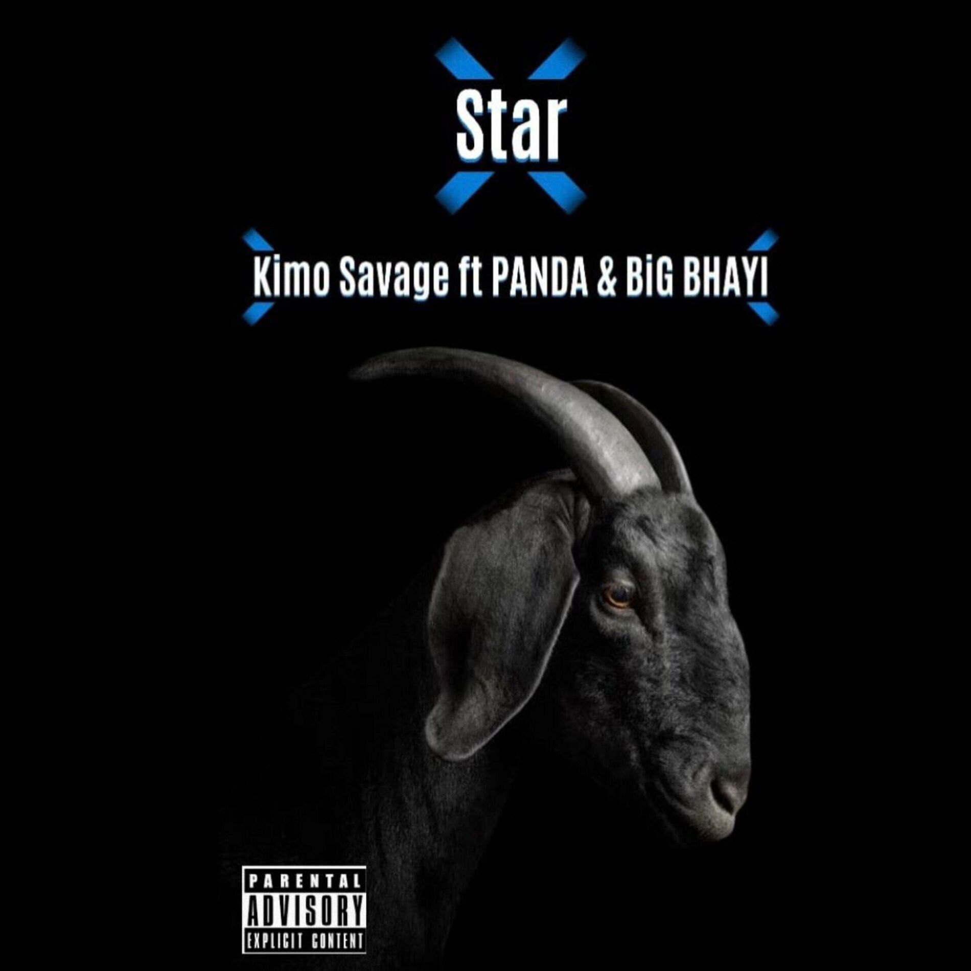 Album cover of STAR (feat. Panda & Big Bhayi)