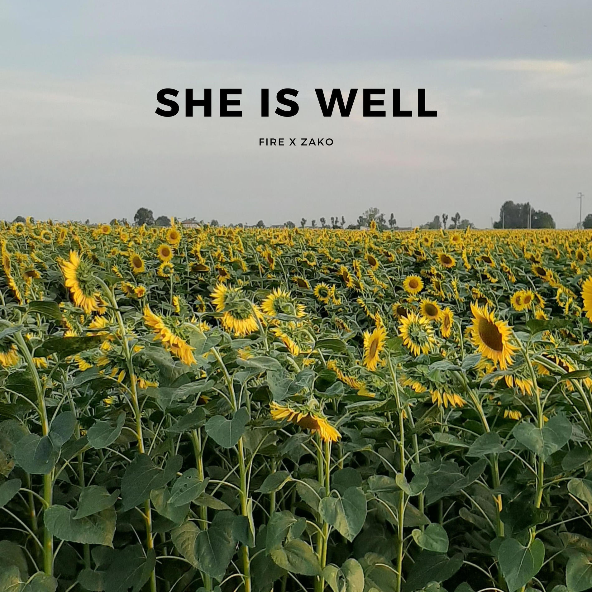 Album cover of She Is Well (feat. Zako)