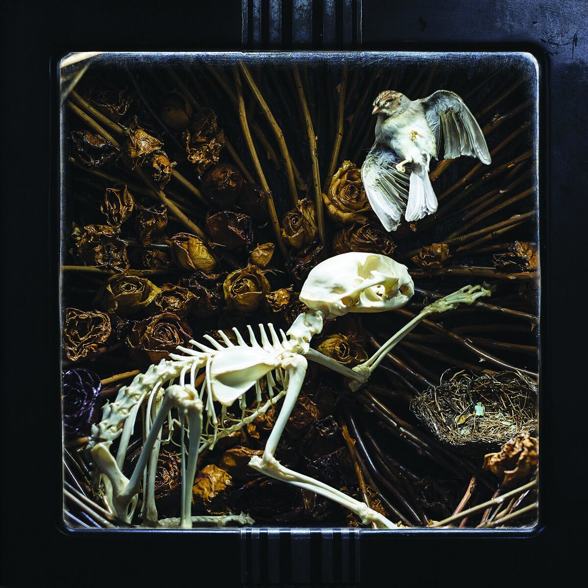 Album cover of Diggin' my Grave