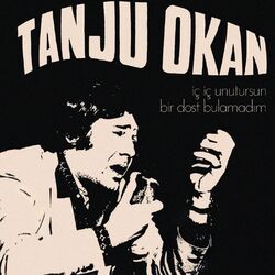 Cover of İç İç Unutursun / Bir Dost Bulamadım