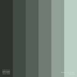 Cover of hooligan / sons & critics