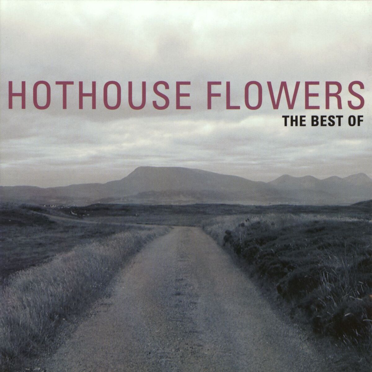 Album cover of The Best Of Hothouse Flowers
