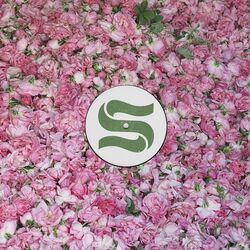 Cover of Step By Step (Axel Boman’s In The Air Version)