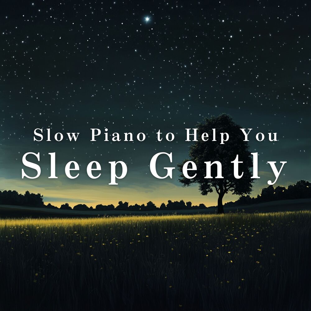 Picture of Slow Piano to Help You Sleep Gently