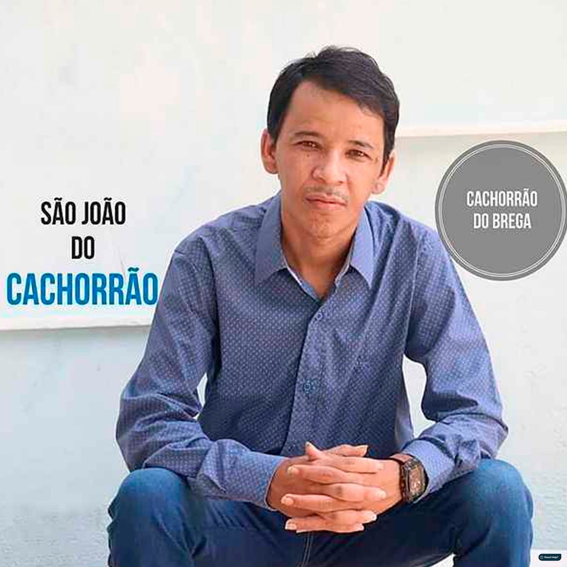 Album cover of São João do Cachorrão