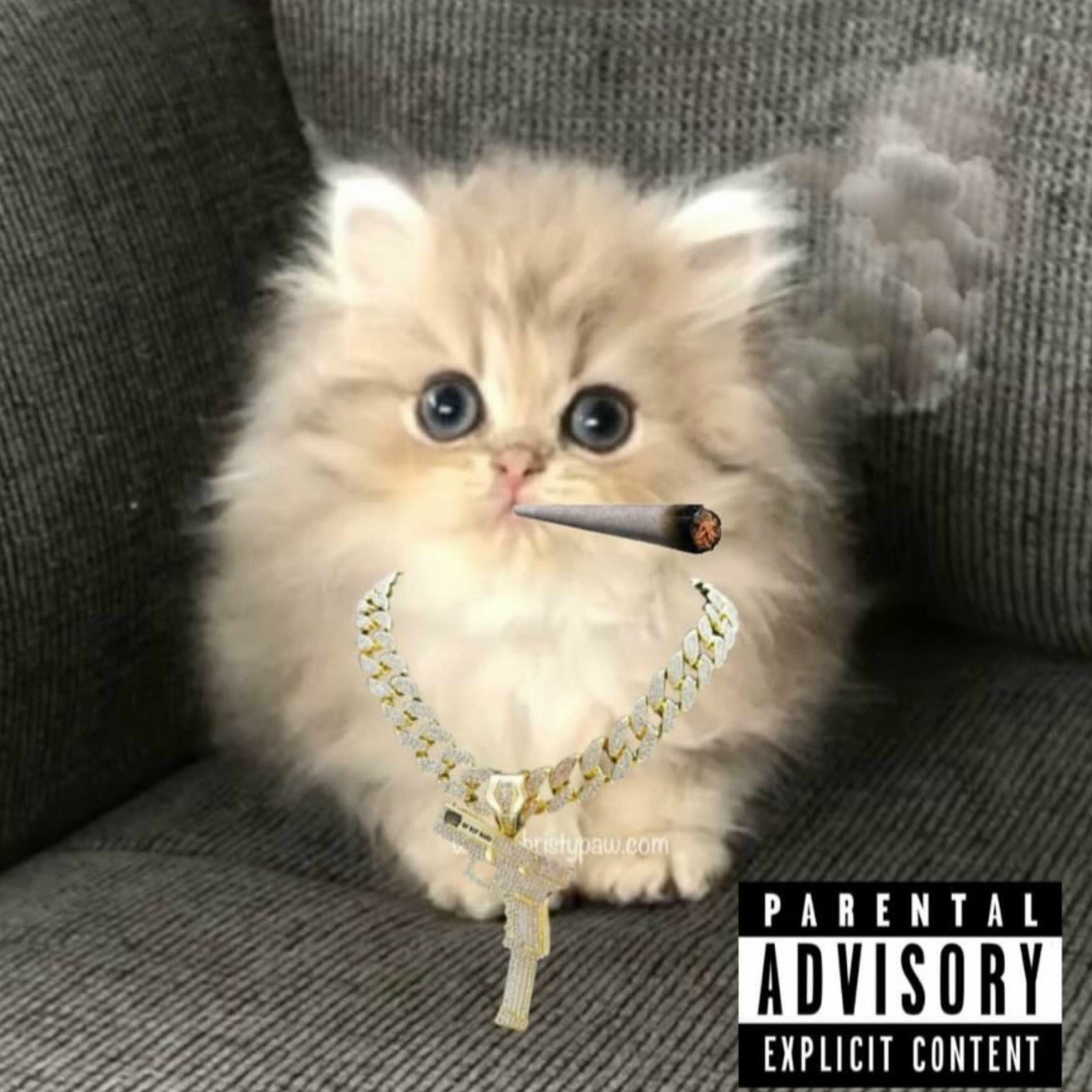 Album cover of euphoria (feat. ren)