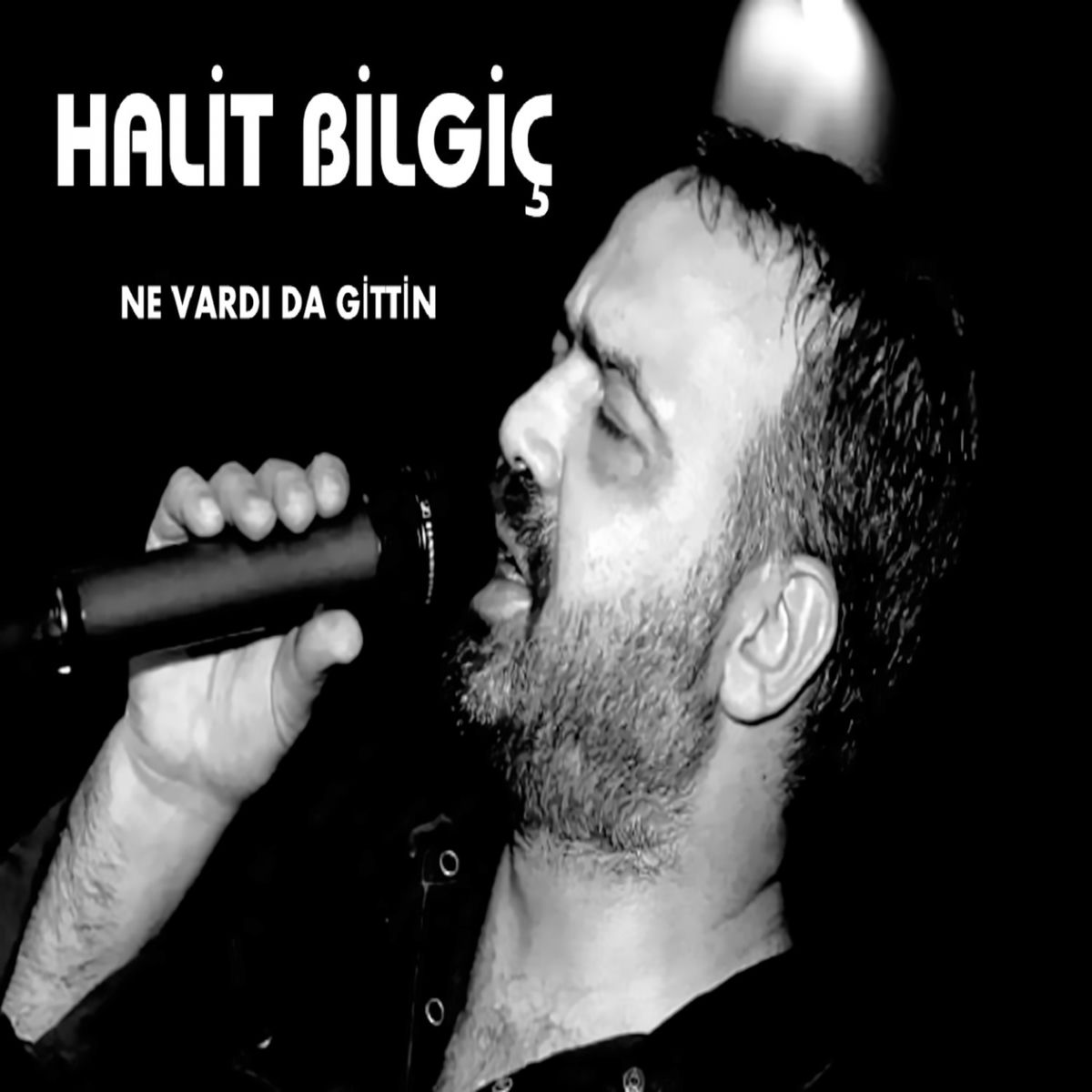 Album cover of Ne Vardı da Gittin