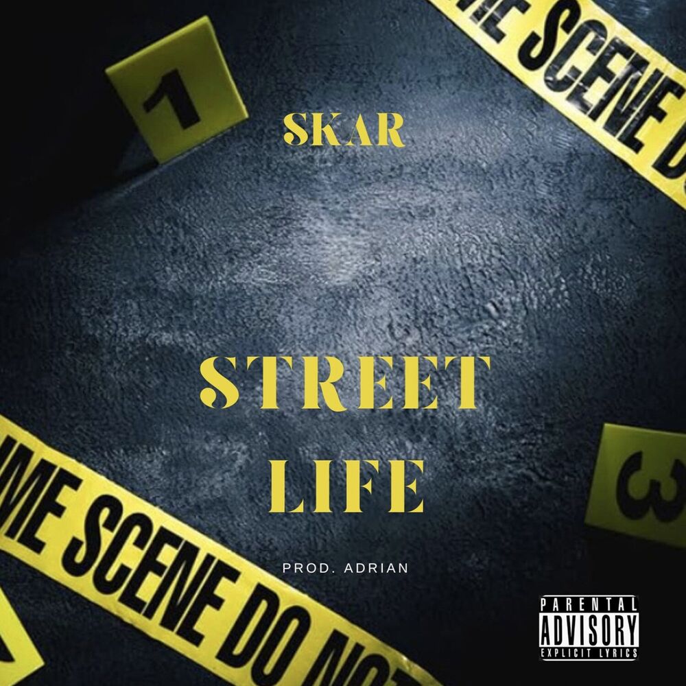 Picture of Street Life