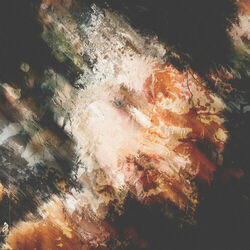 Cover of Breathing
