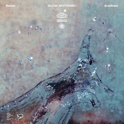 Cover of Slow Motion