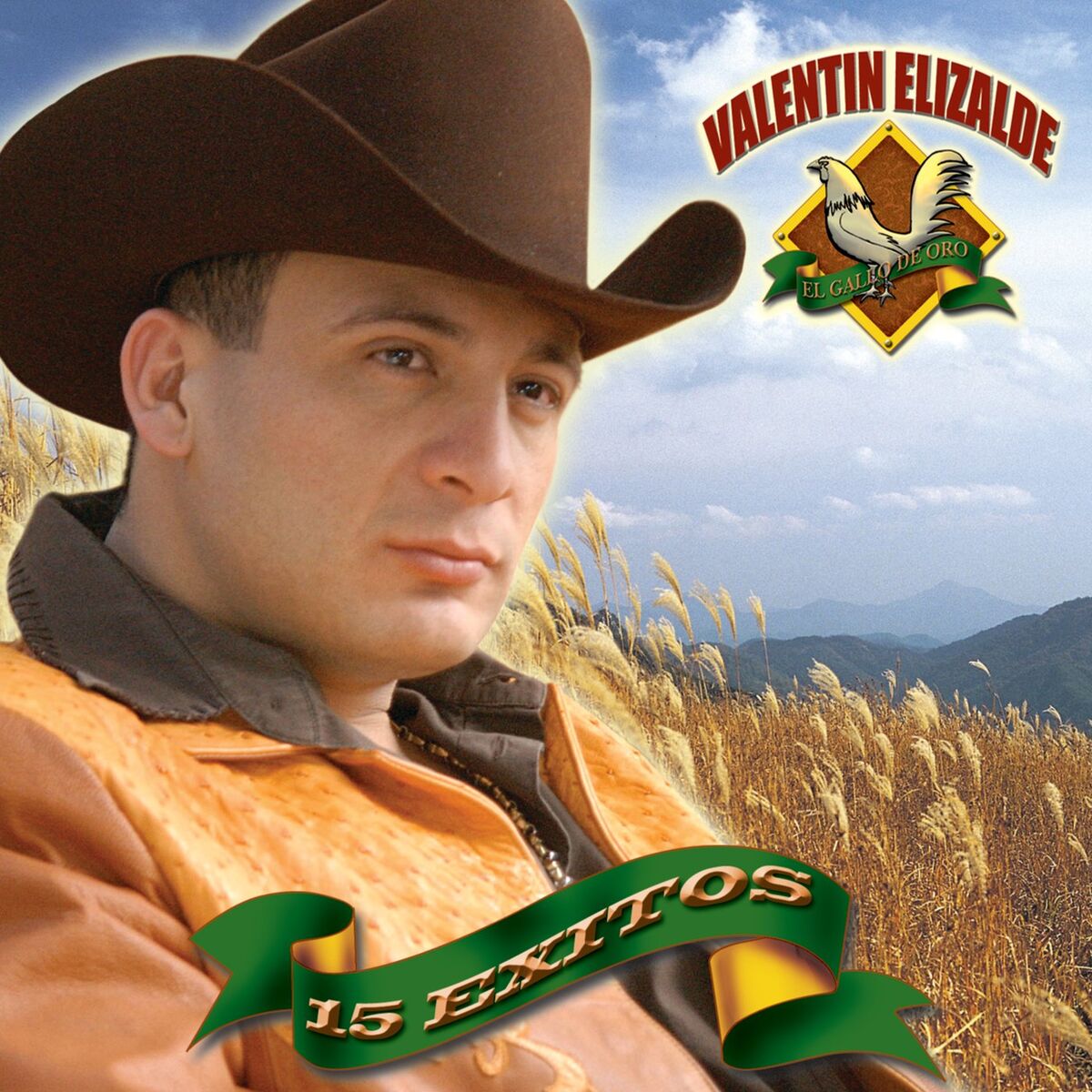 Album cover of Corrido Del Vale Elizalde
