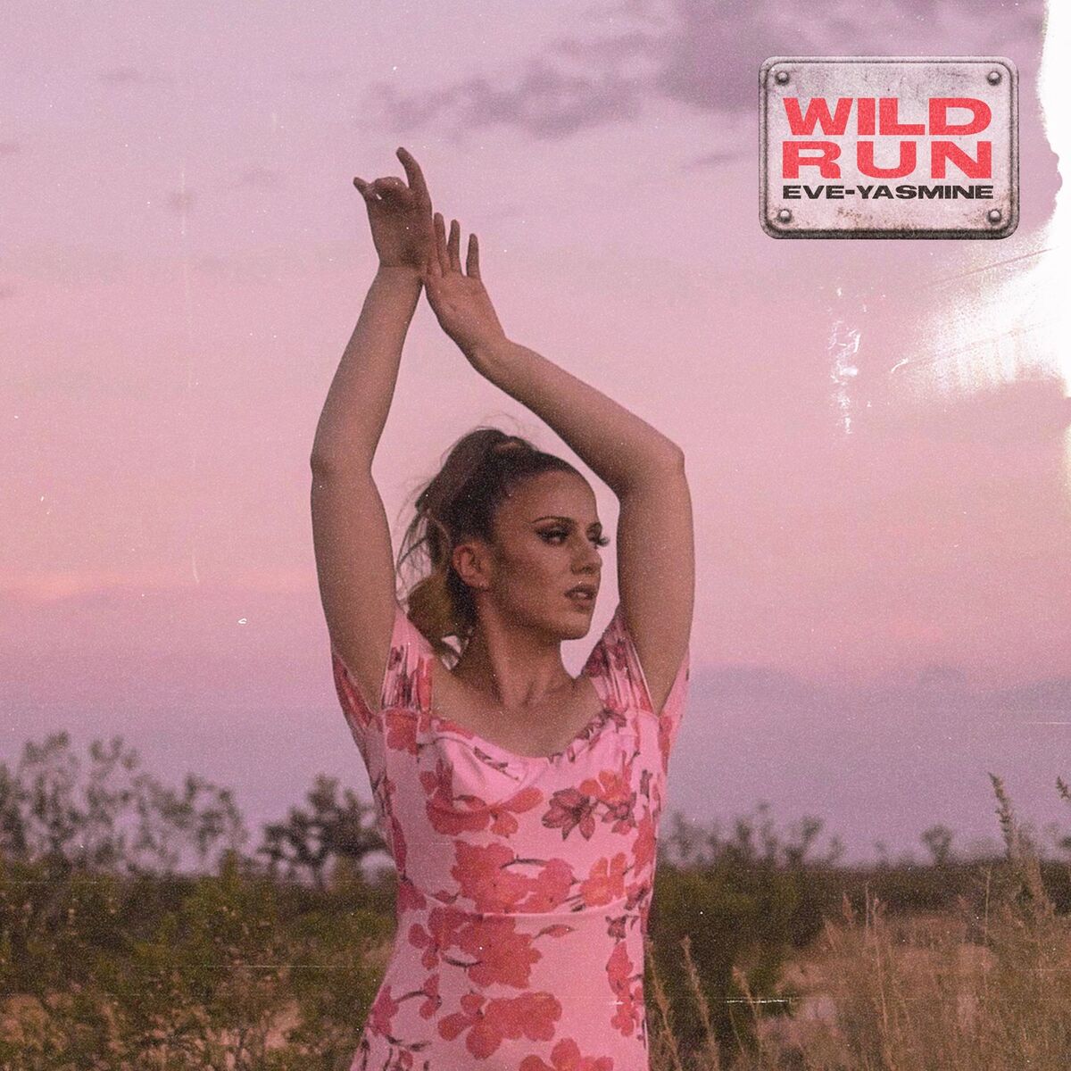 Album cover of Wild Run