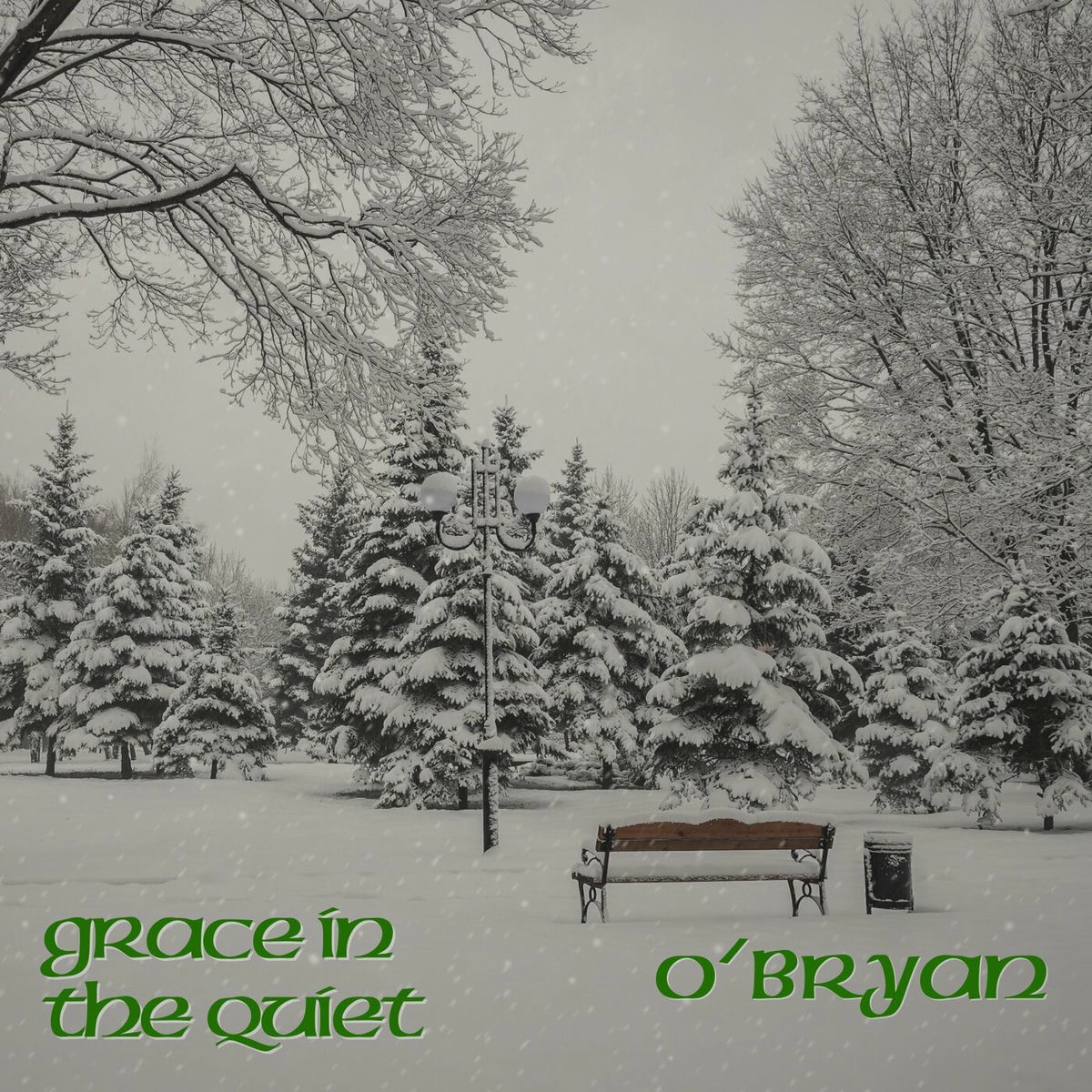 Album cover of Grace in the Quiet