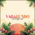 Vagabundo (ELETROFUNK)