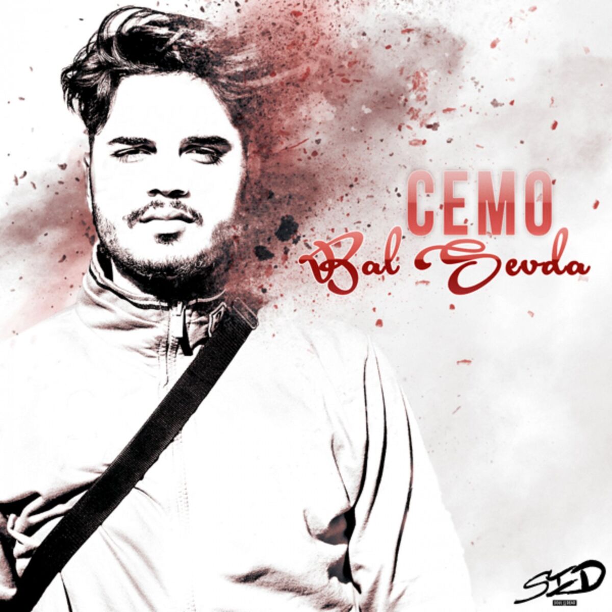 Album cover of Bal Sevda