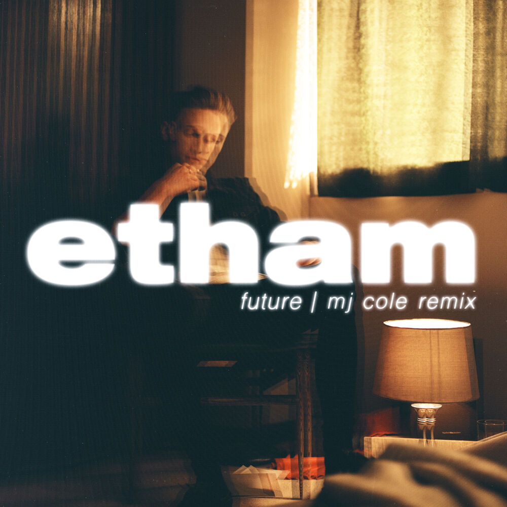 Picture of Future (MJ Cole Remix)