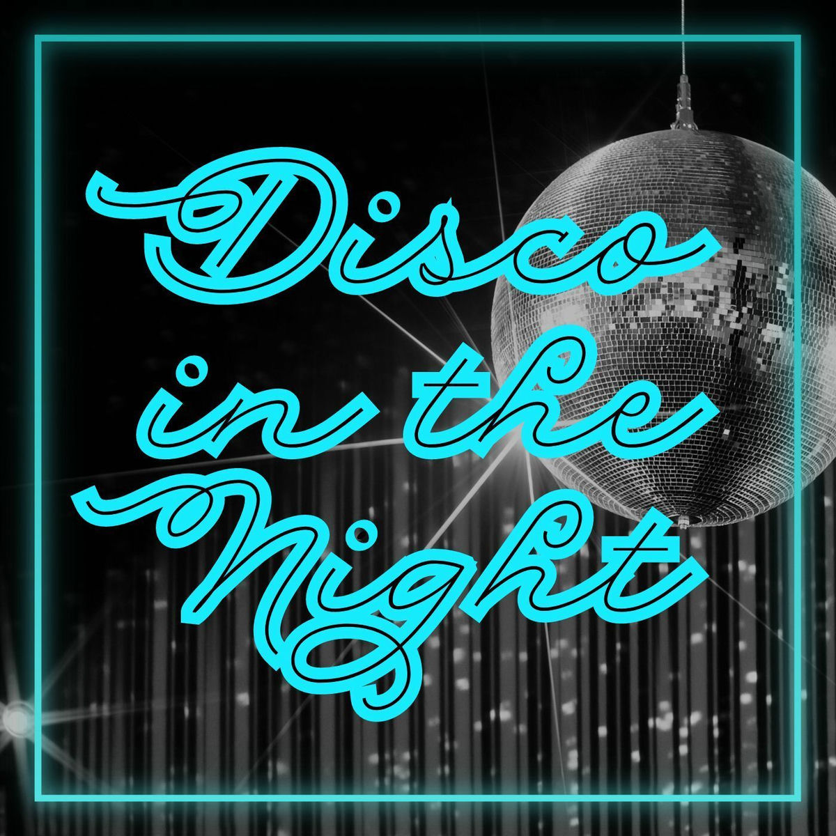 Album cover of Disco In The Night