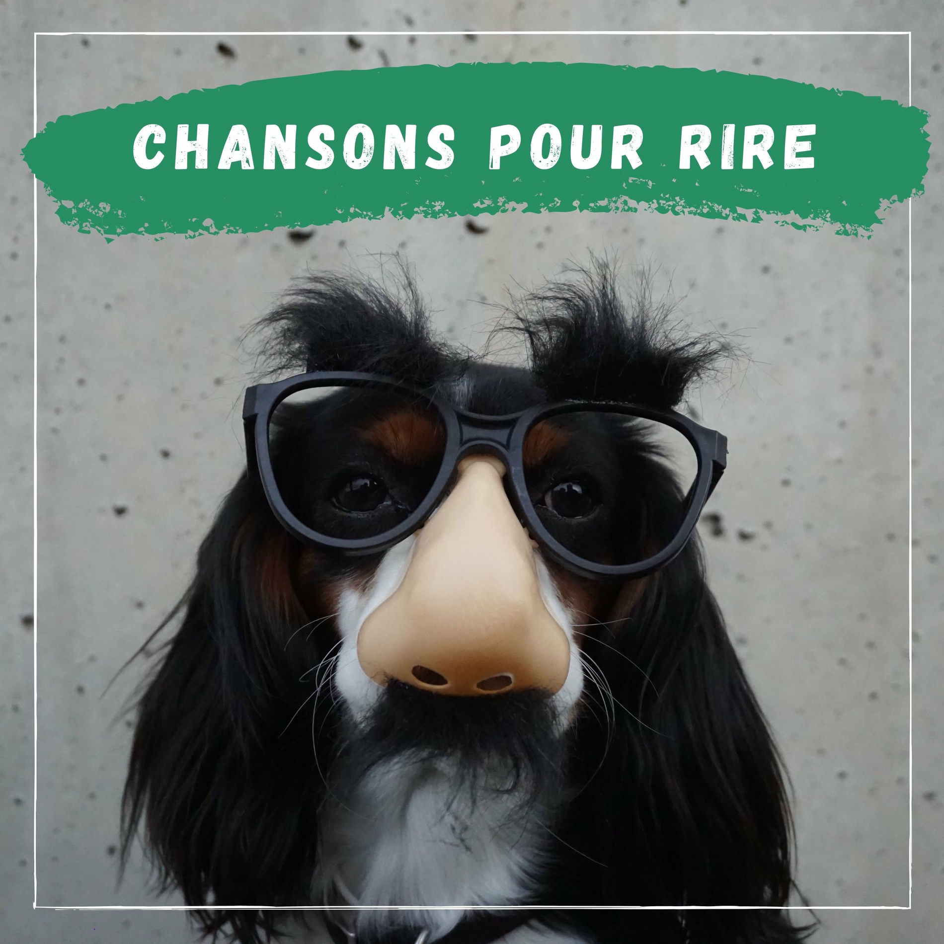 Album cover of Chansons à Boire et à Manger