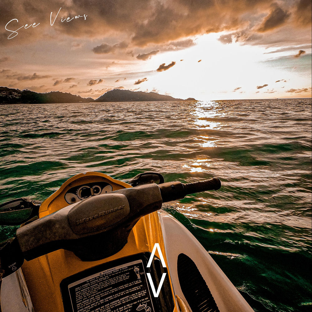 Album artwork for See Views by ANTNY