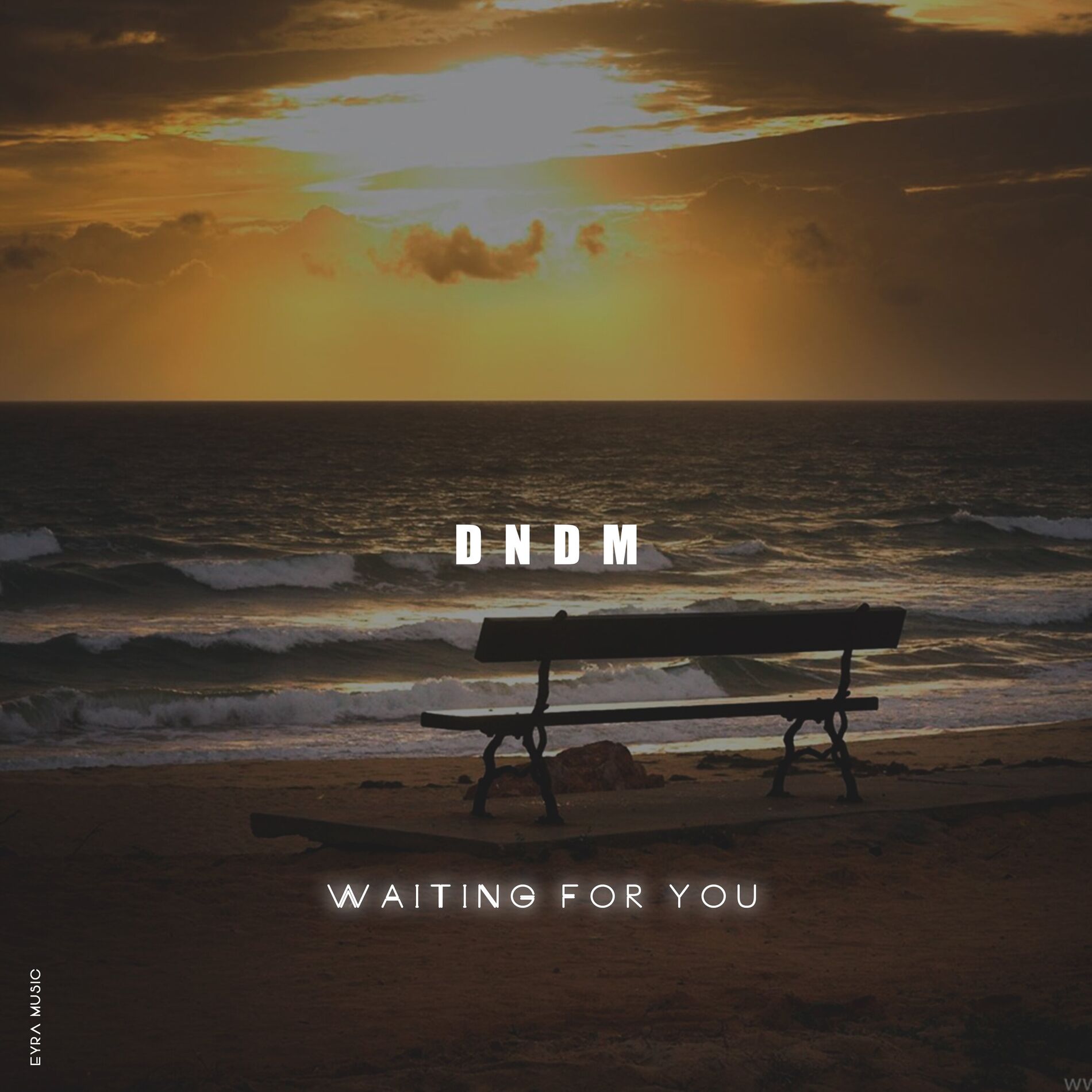 Album cover of Waiting for You