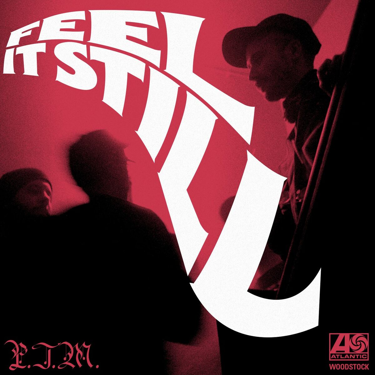 Album picture of Feel It Still