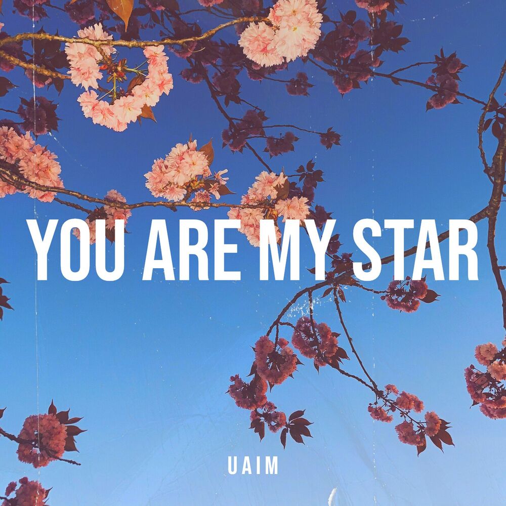 Picture of You Are My Star