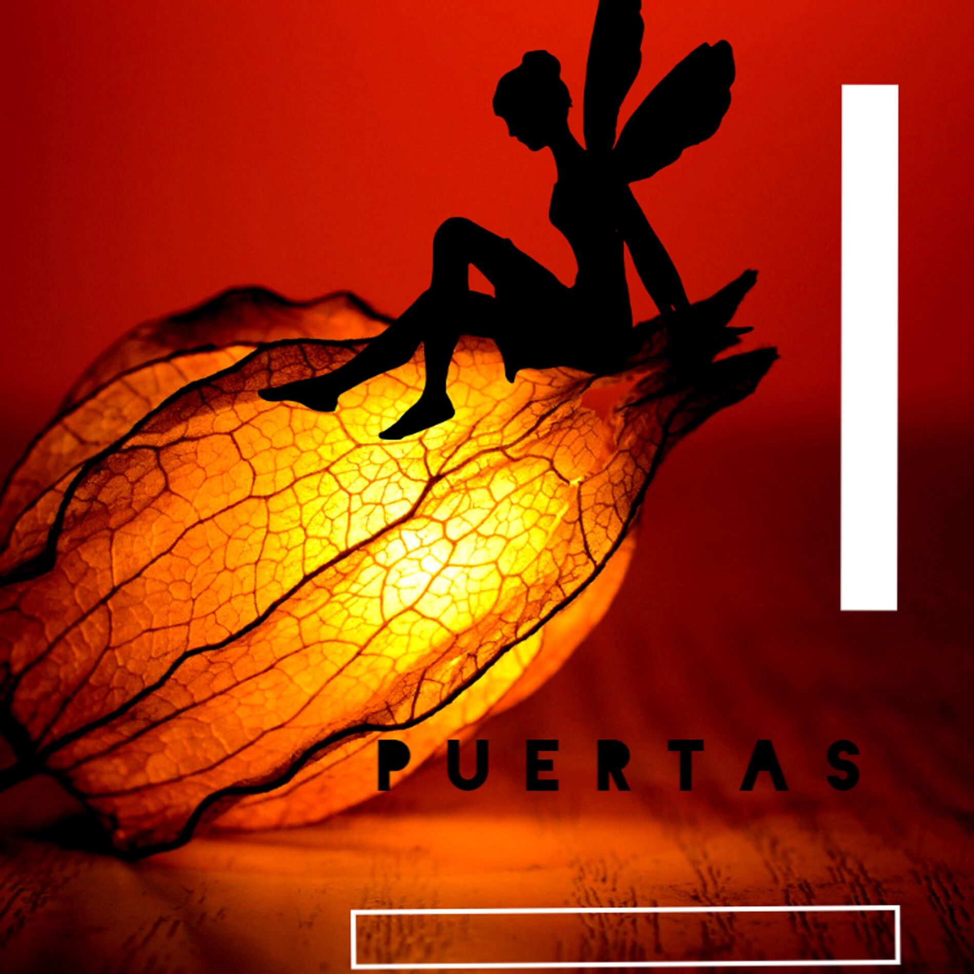 Album cover of Puertas