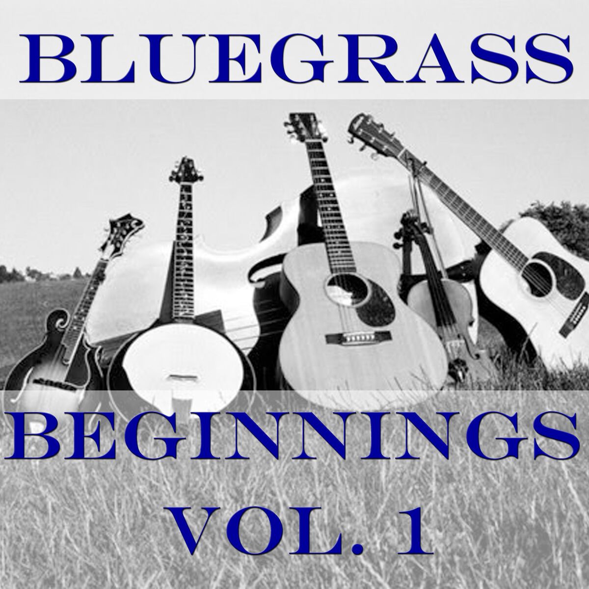 Album cover of Bluegrass Beginnings, Vol. 1