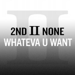 Cover of Whateva U Want