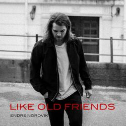 Cover of Like Old Friends