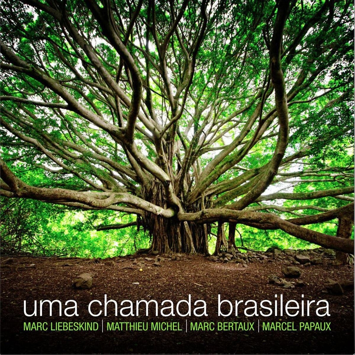 Album cover of Uma Chamada Brasileira