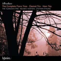 Cover of Brahms: Piano Trios 1-3, Clarinet Trio & Horn Trio