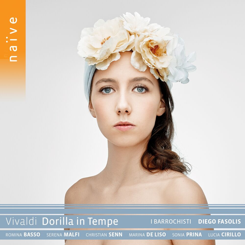 Picture of Dorilla in Tempe