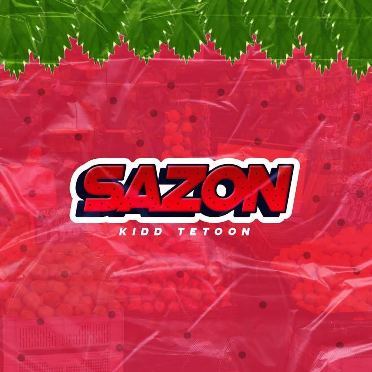 Album cover of Sazon