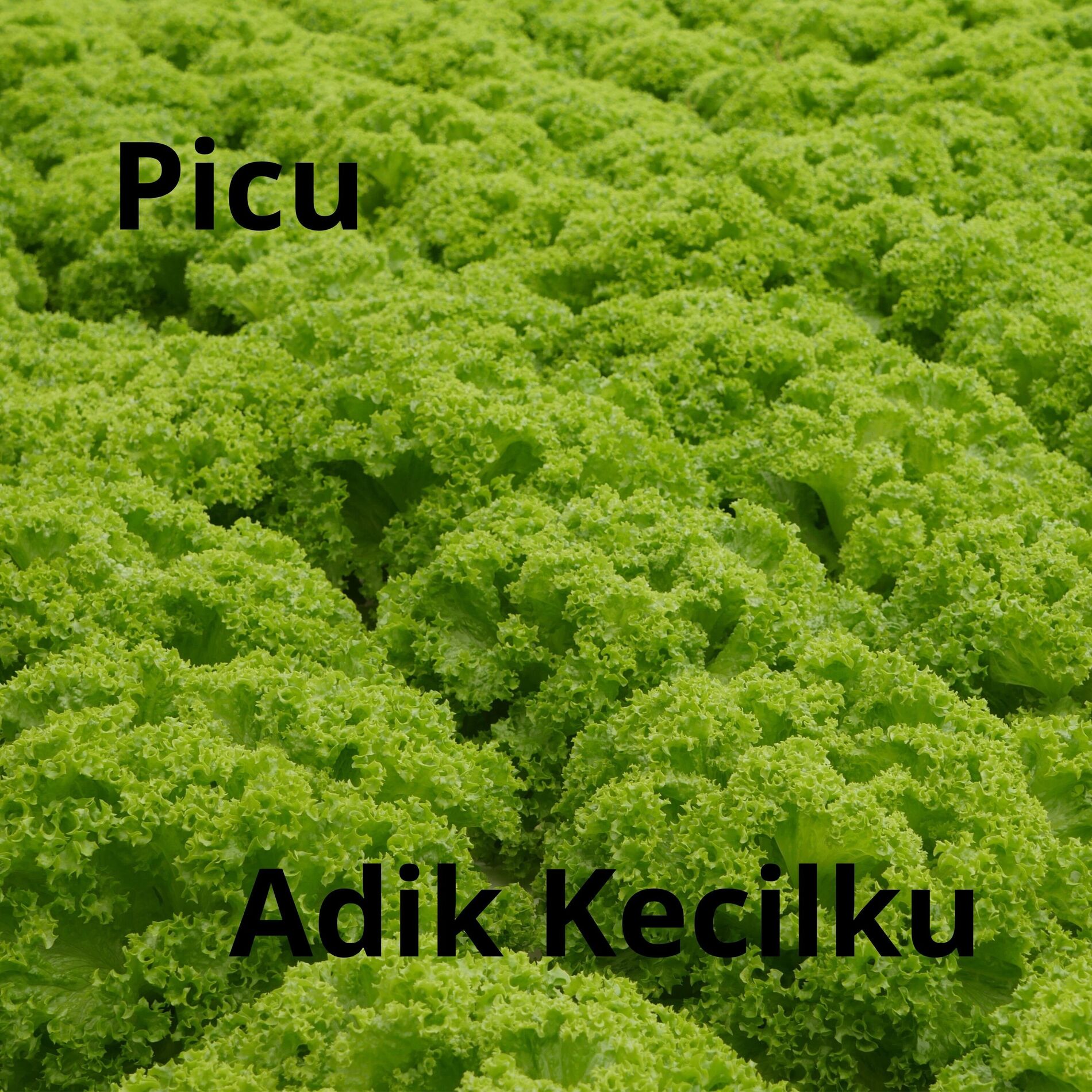 Album cover of Adik Kecilku