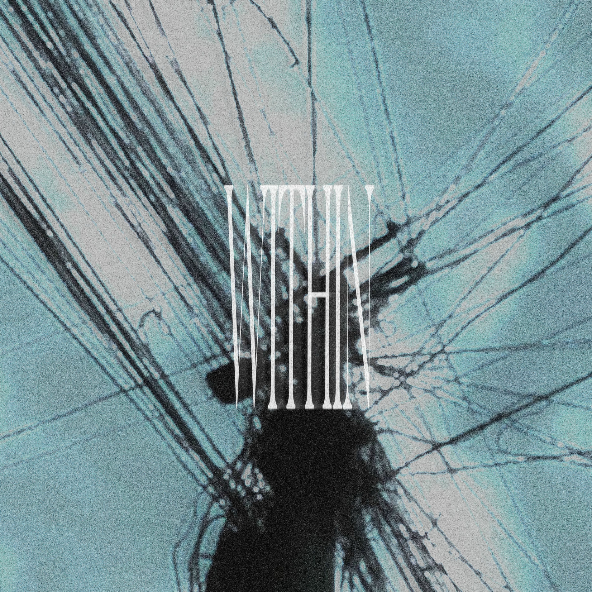 Album cover of Within