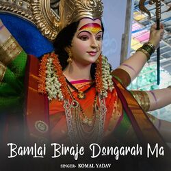 Cover of Bamlai Biraje Dongarah Ma