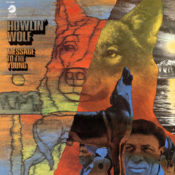 Cover of Message To The Young