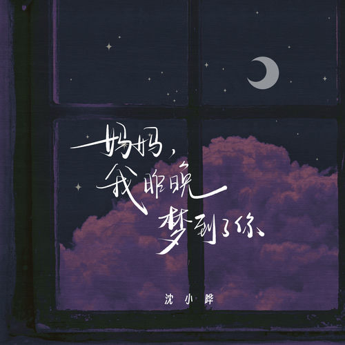 妈妈,我昨晚梦到了你