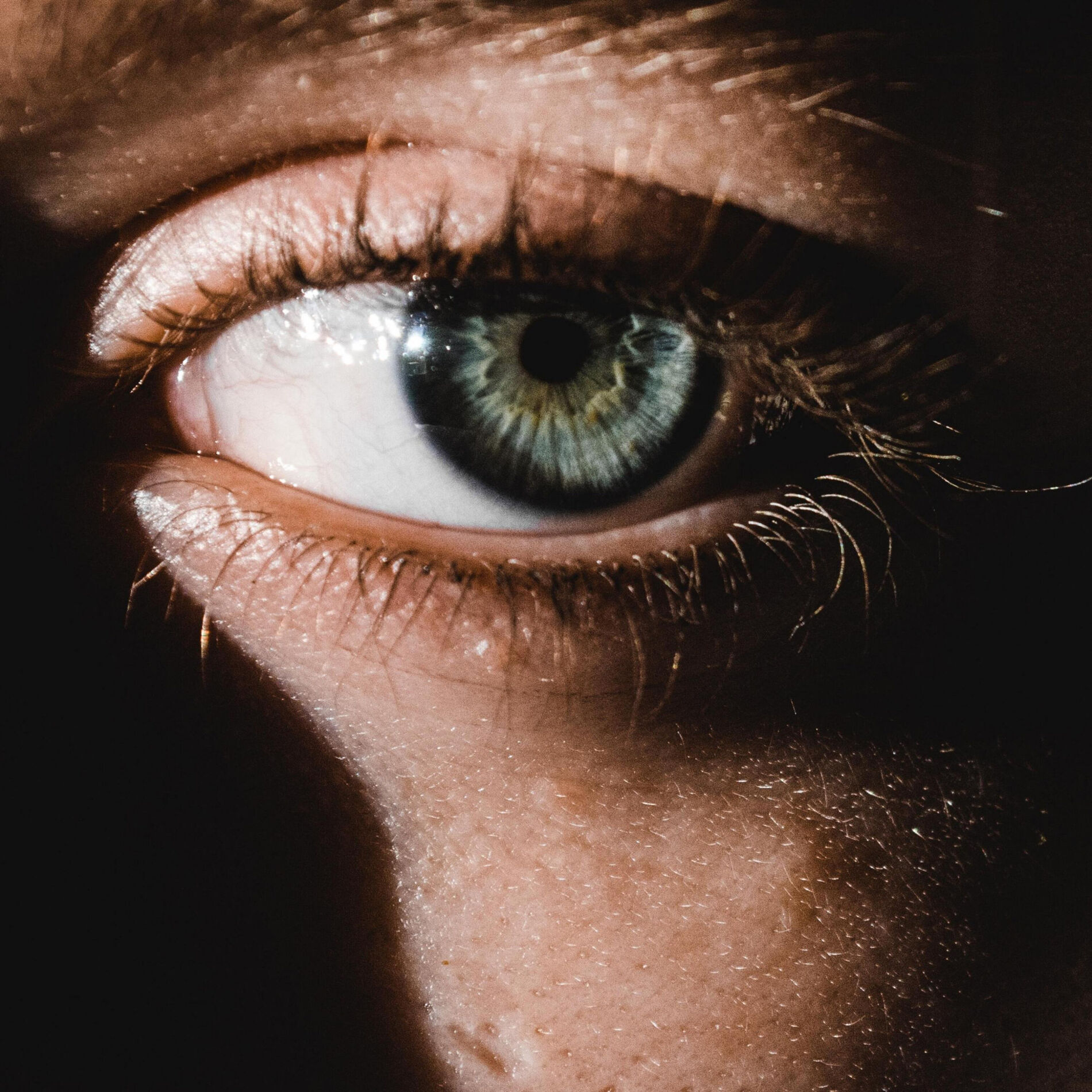 Album cover of Blindsided