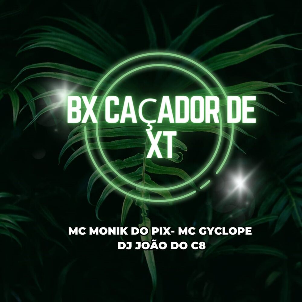 Picture of BX Caçador de XT
