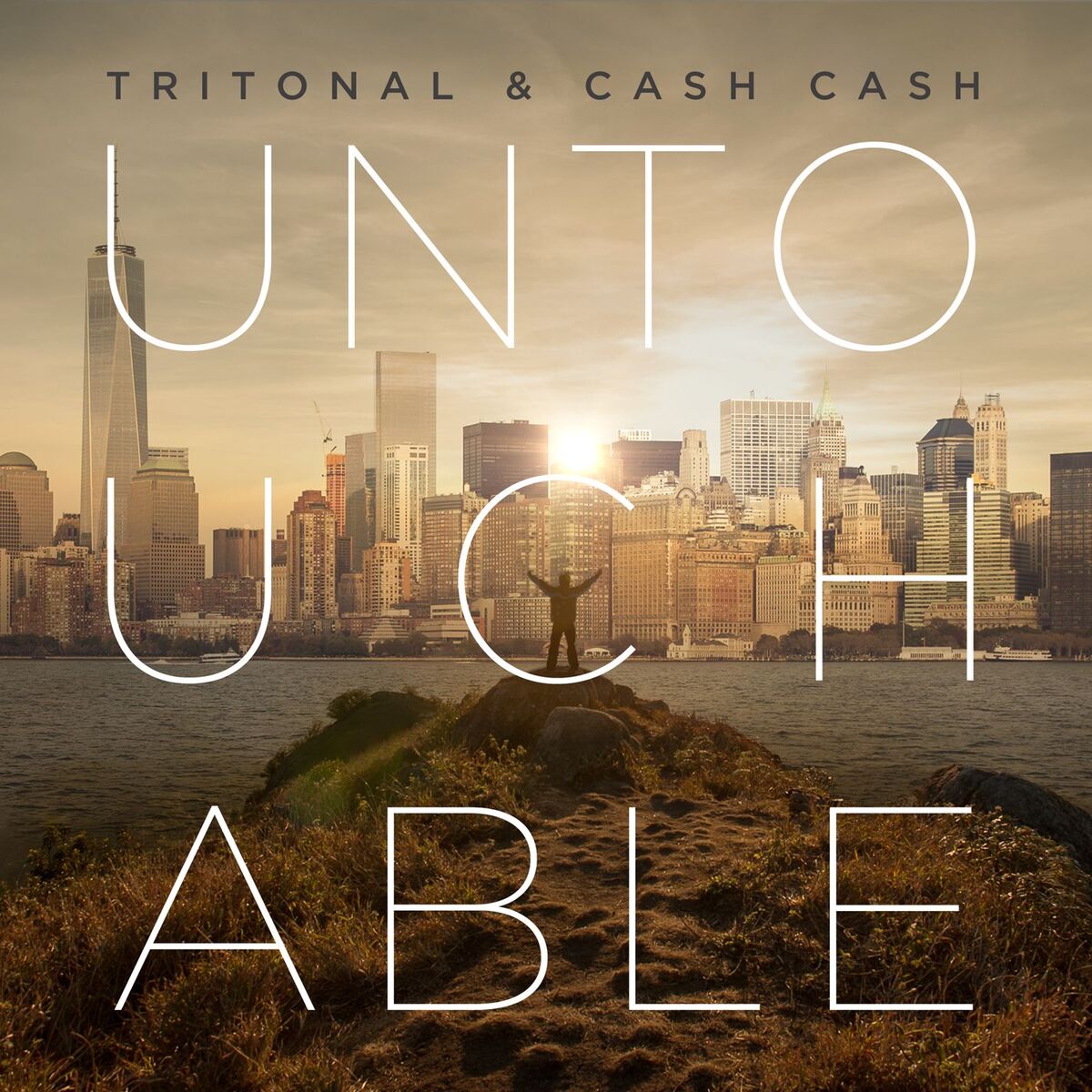 Album cover of Untouchable