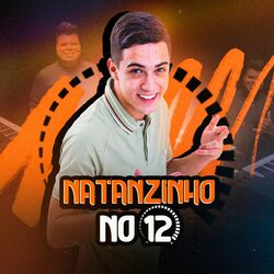 Cover of Natanzinho No 12