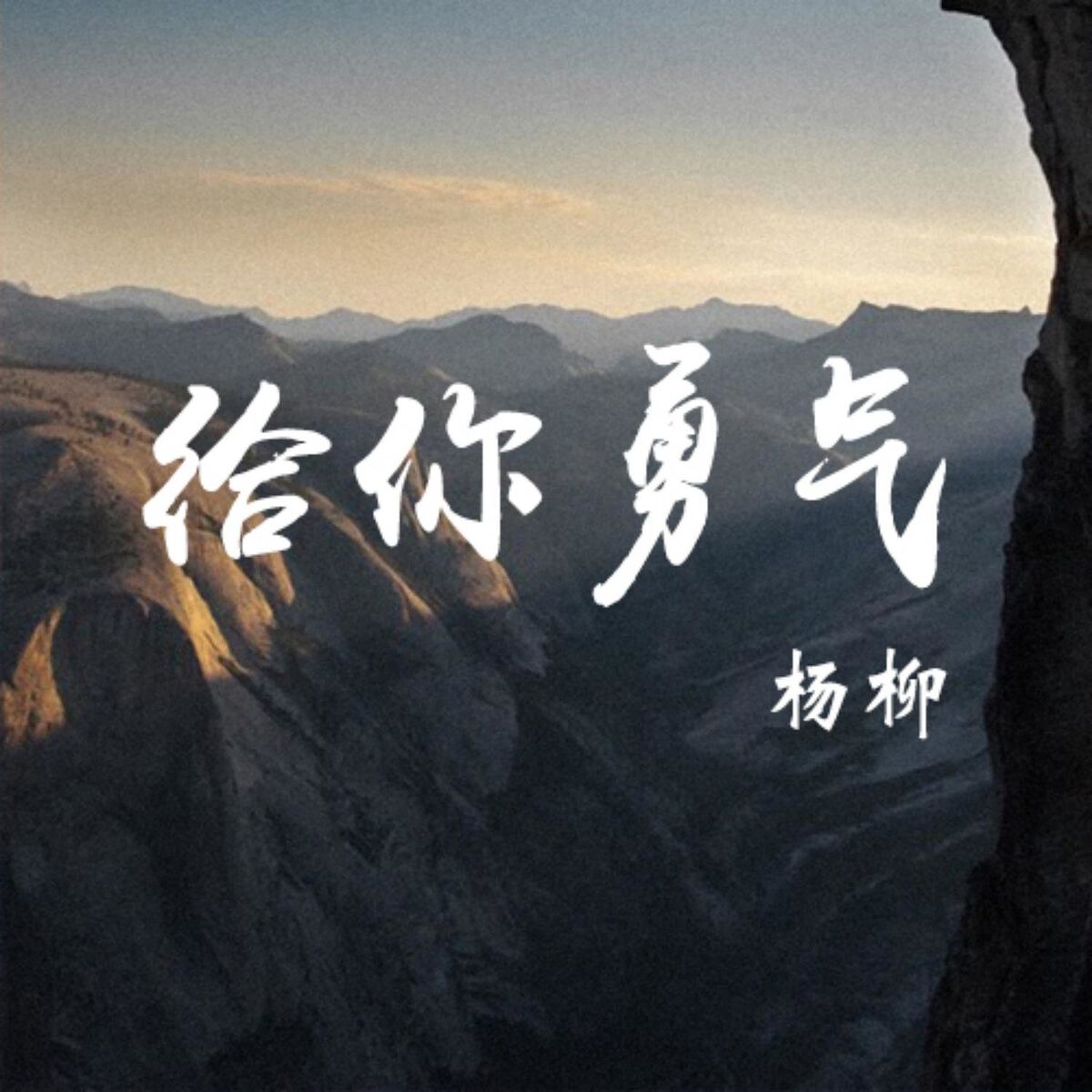 杨柳- 照亮回家的路| Deezer