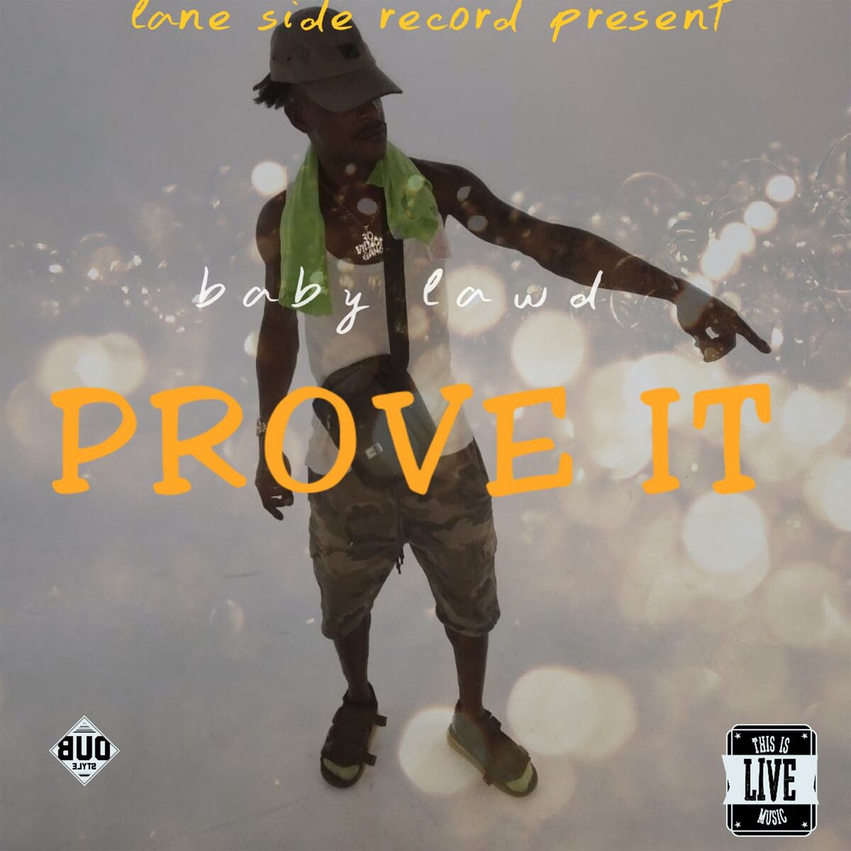 Album cover of Prove It