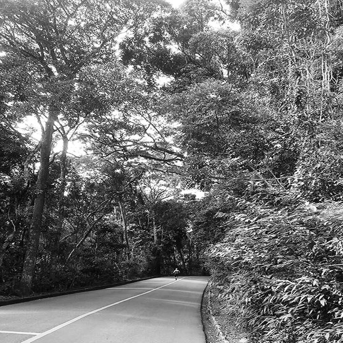 Album cover of Runner Soul