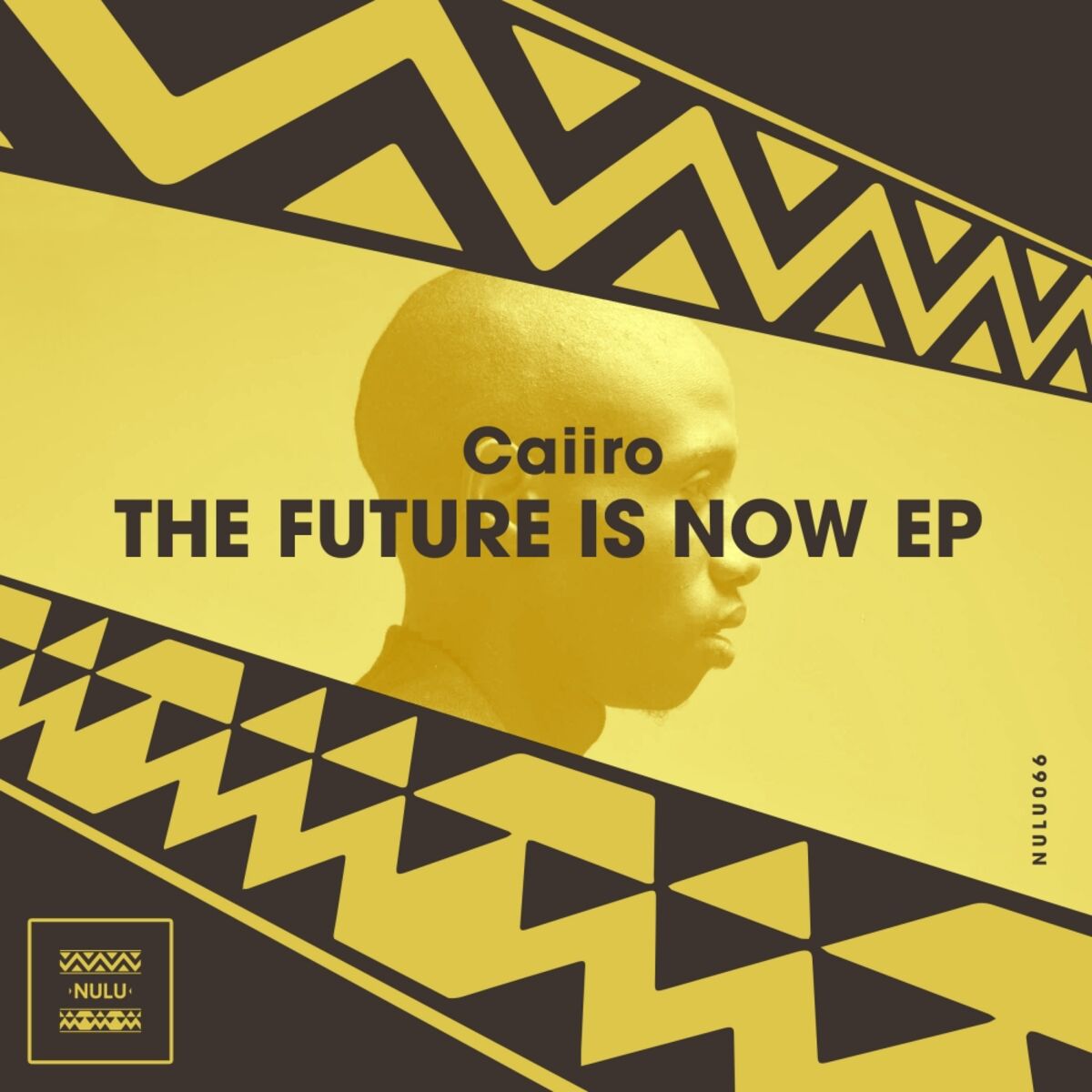 Album cover of The Future Is Now