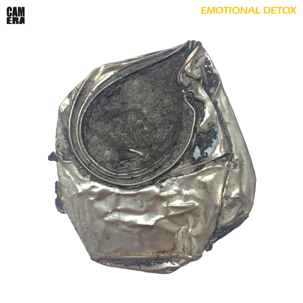 Picture of Emotional Detox