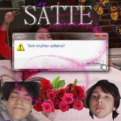 Cover of Tem Mulher Solteira?